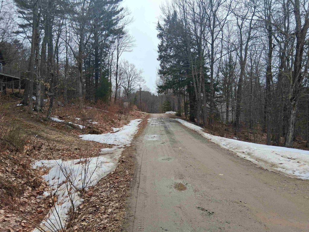 Photo of 60 Scott Drive, Alton, NH 03810 (MLS # 5081017)