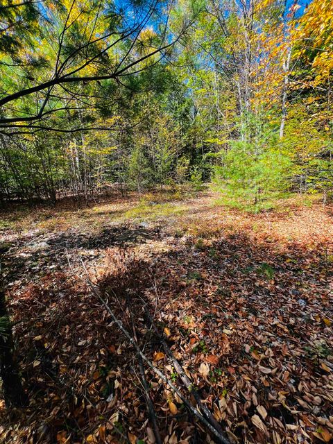 Map 408 Lot 39-1 Bullock Road Richmond NH 03446