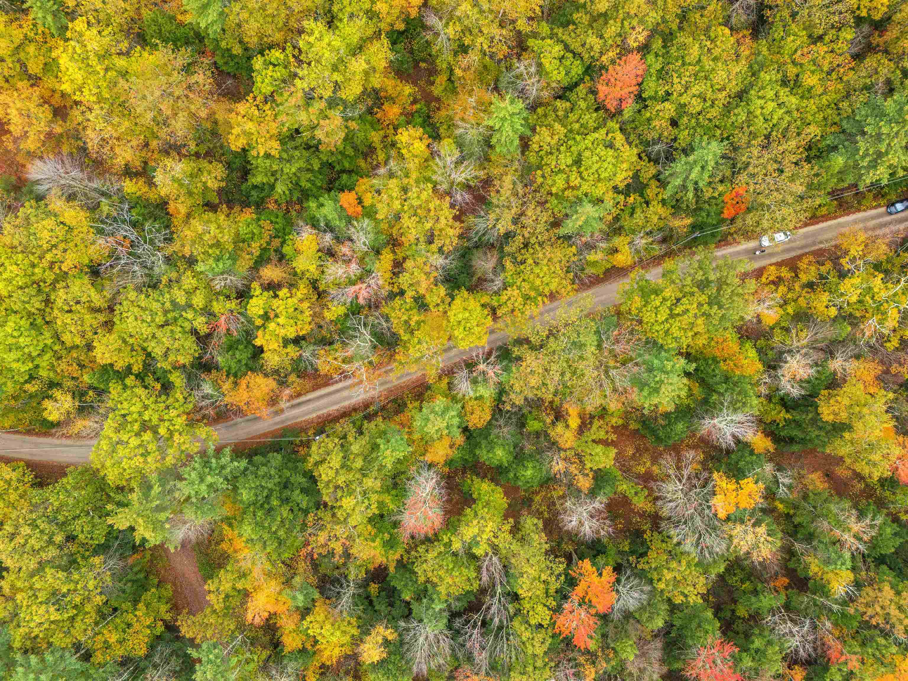 Map 408 Lot 39-1 Bullock Road