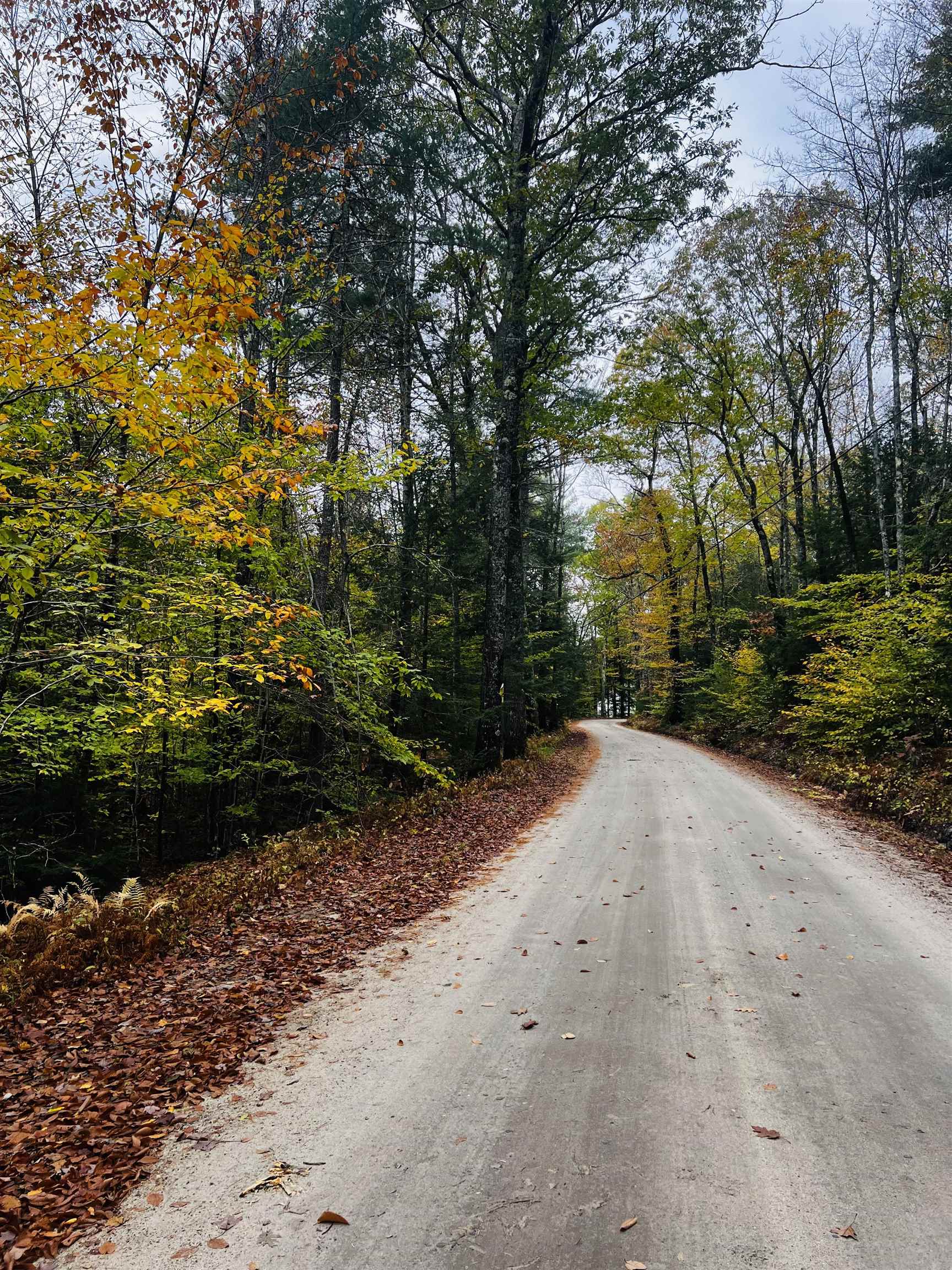 Map 408 Lot 39-1 Bullock Road