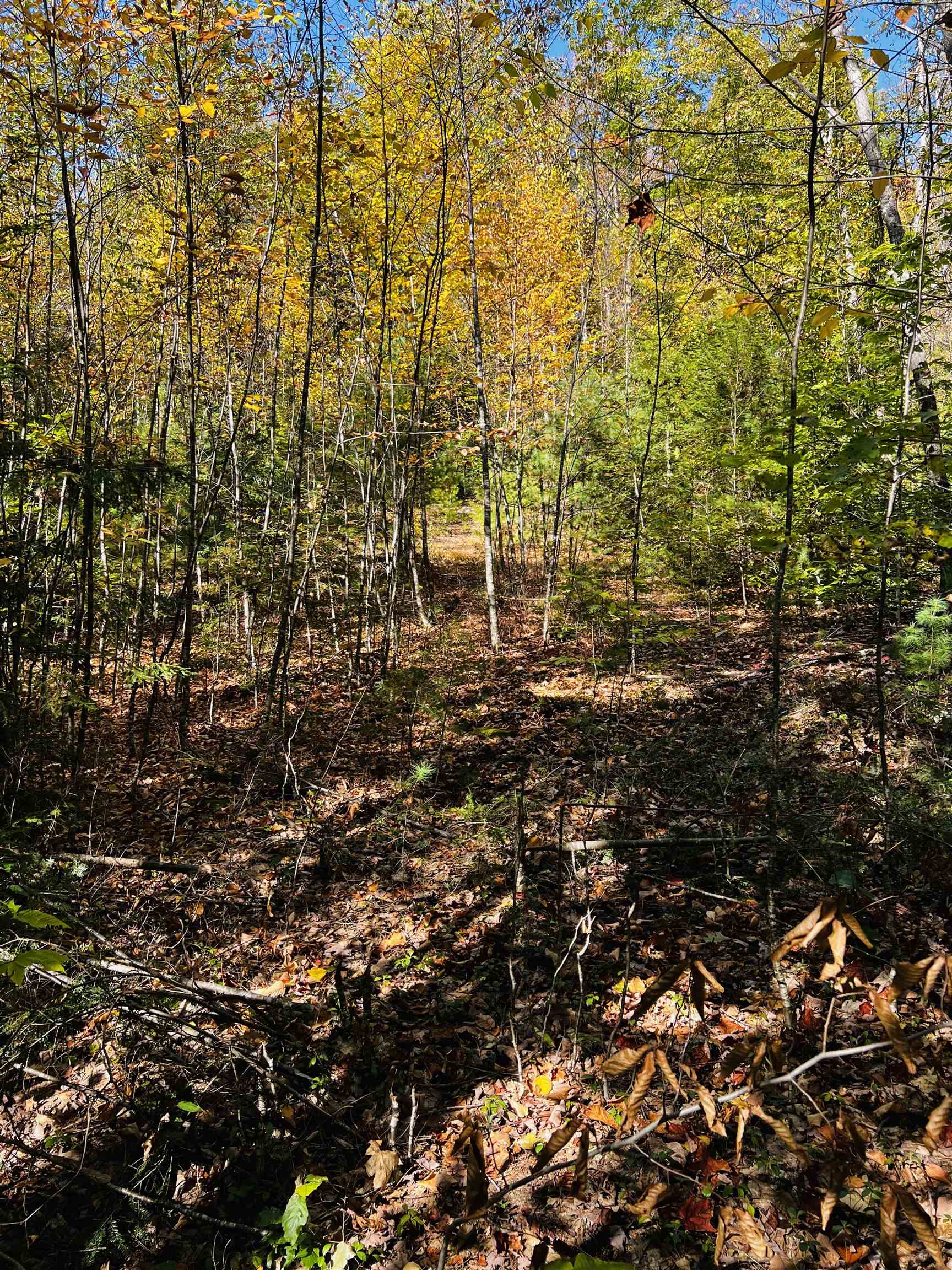 Map 408 Lot 39-1 Bullock Road