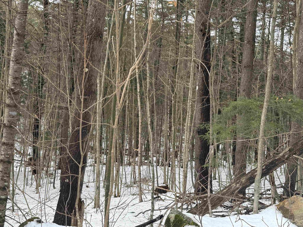 Photo of 190 Circuit Road, Ossipee, NH 03864 (MLS # 5055110)