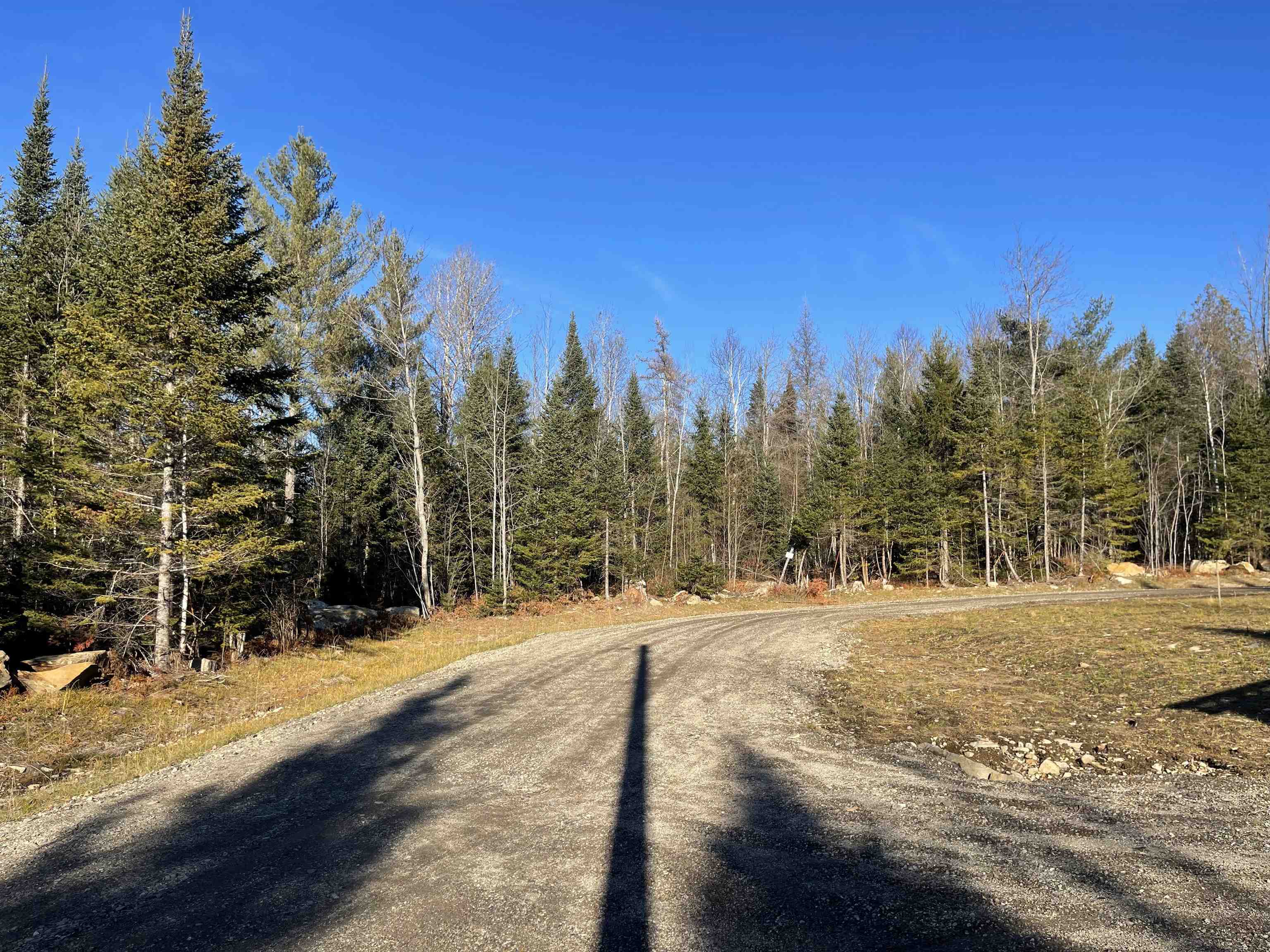 540 Bog Road Lot 4