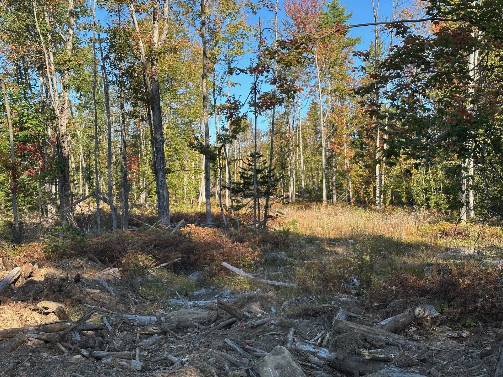 00 Pinkham Road 11-9