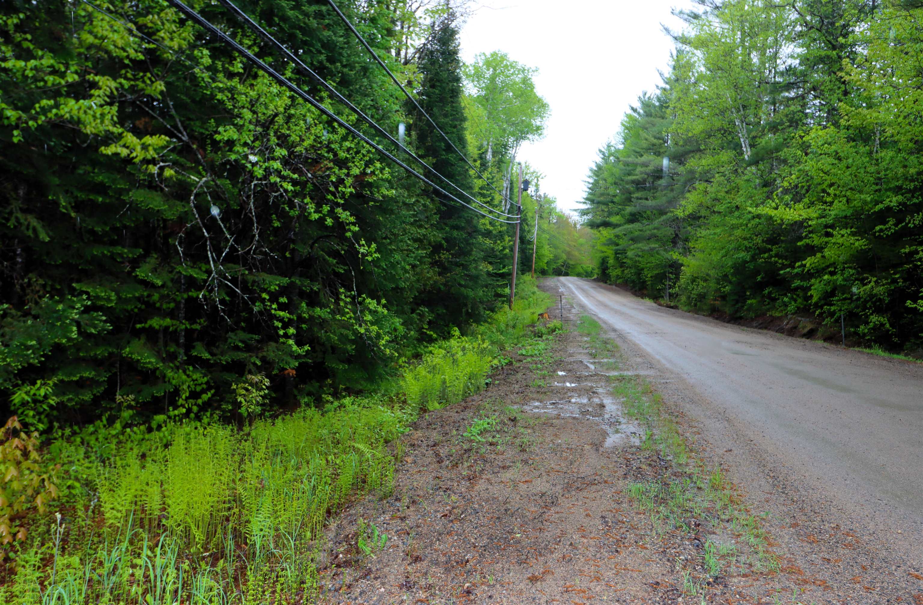 00 West Milan Road Map 133, Lot 11