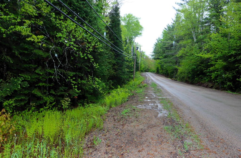 Photo of 00 West Milan Road #Map 133, Lot 11, Milan, NH 03588 (MLS # 5042794)