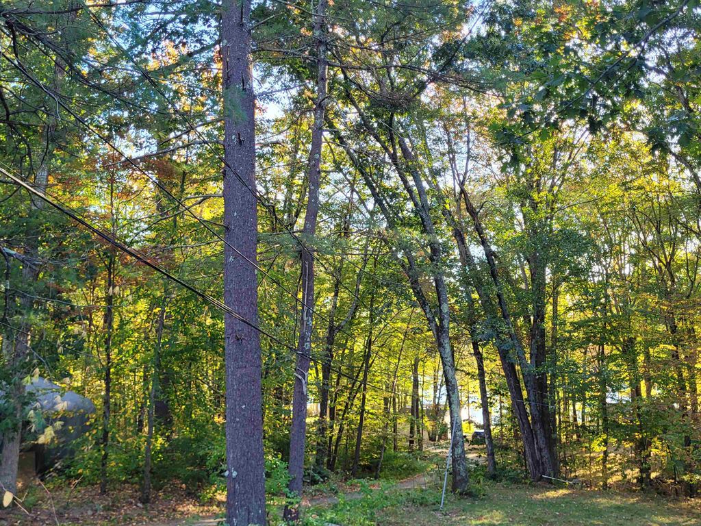 Photo of 6 Davis Lane, Barrington, NH 03825 (MLS # 5064534)