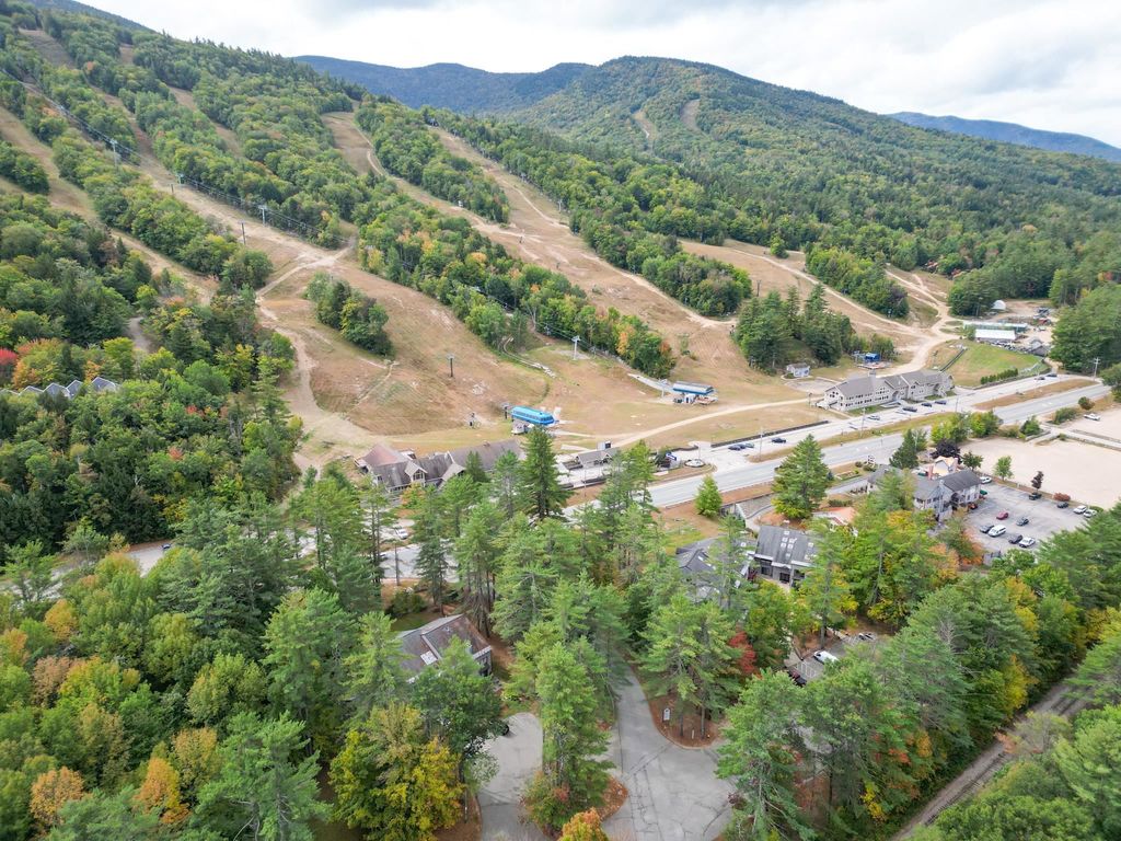 Photo of 6 River Run Drive #O, Bartlett, NH 03812 (MLS # 5089861)
