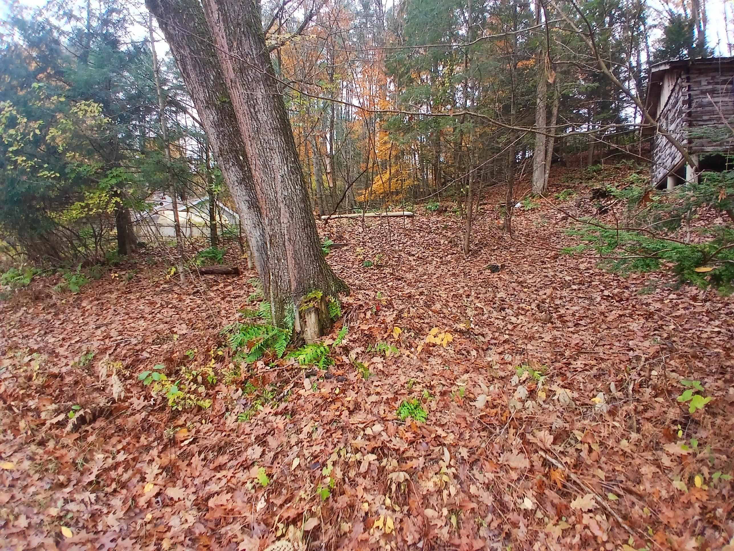 5 East Wilder Road