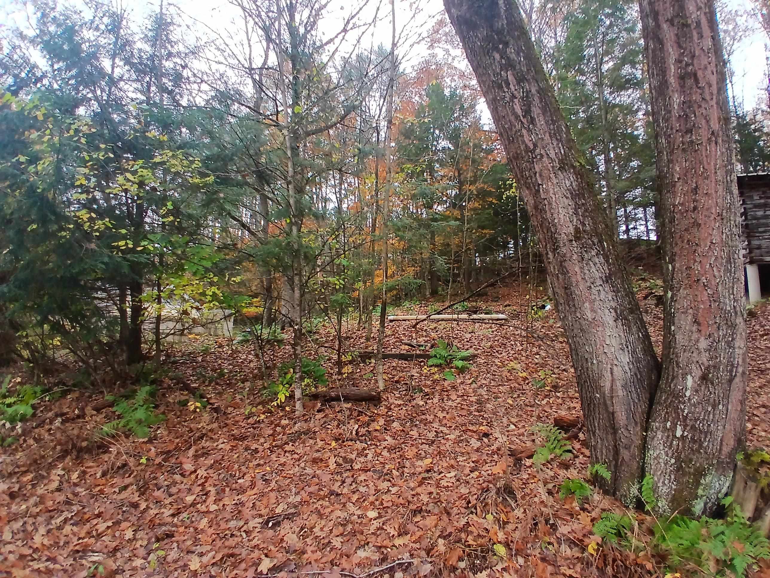 5 East Wilder Road