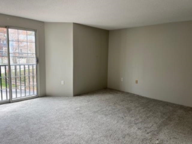 161 Cannongate III Drive