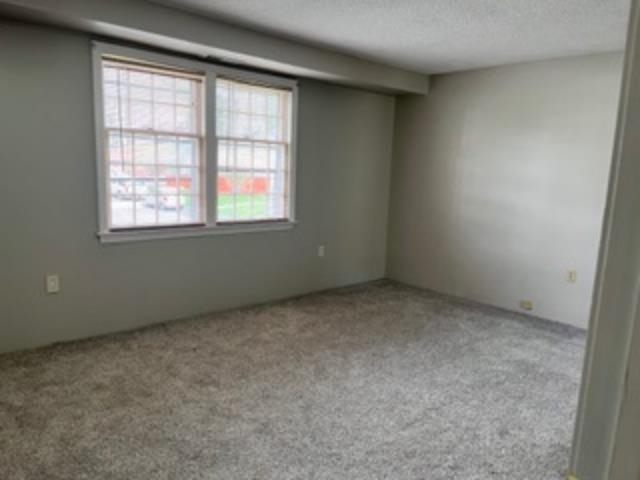 161 Cannongate III Drive