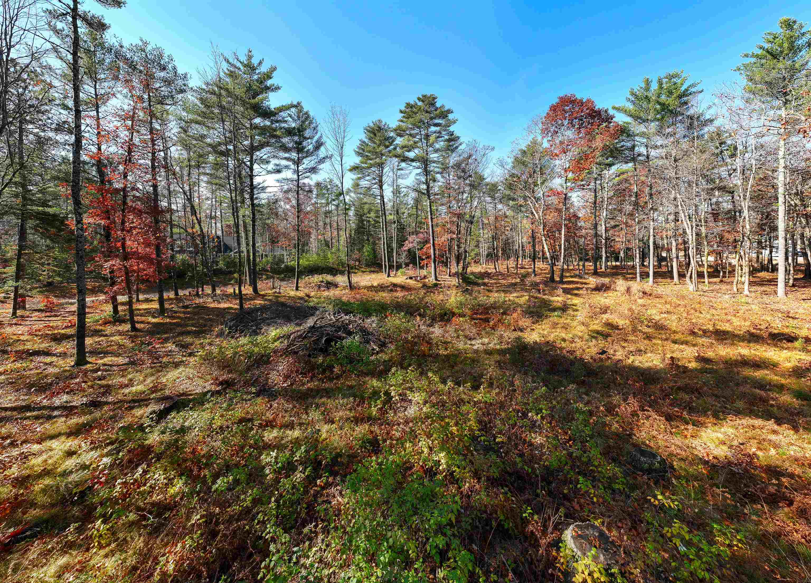 Lot 42 Winchester Lane