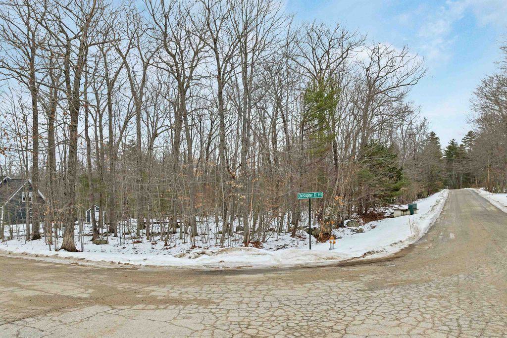 Photo of Christopher Court #18, Wolfeboro, NH 03894 (MLS # 5074159)