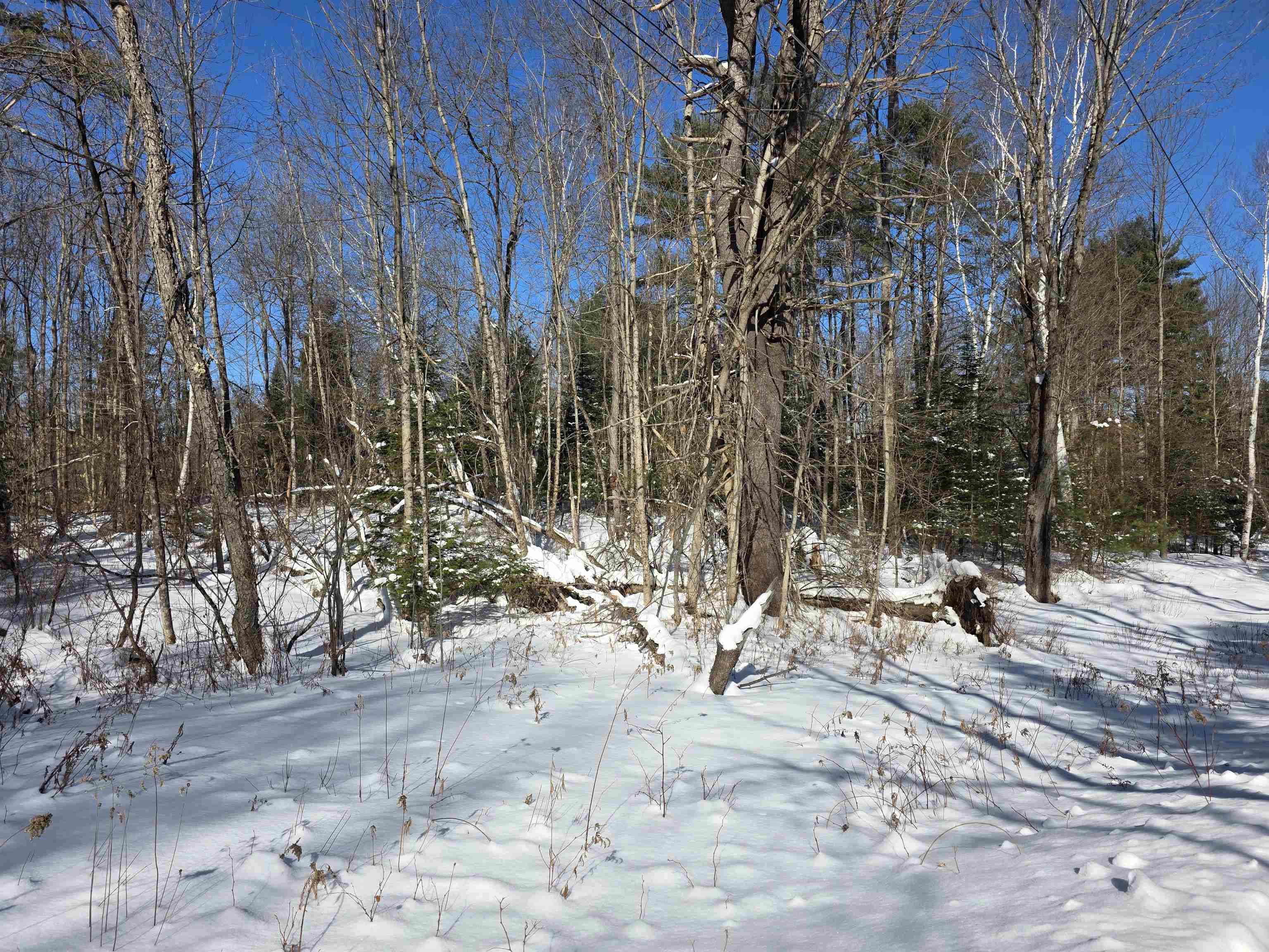 000 Lakeside Drive 027