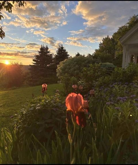 5118 Mack Mountain Road Cabot VT 05647