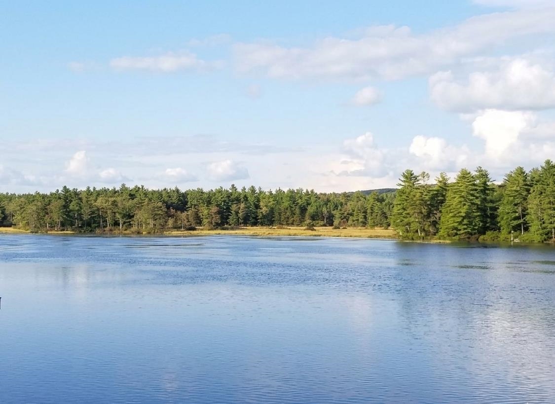 Lot 14 NorthEast Pond Road