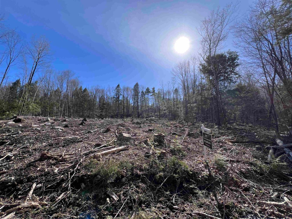 Photo of 14 NorthEast Pond Road, Milton, NH 03851 (MLS # 5085500)