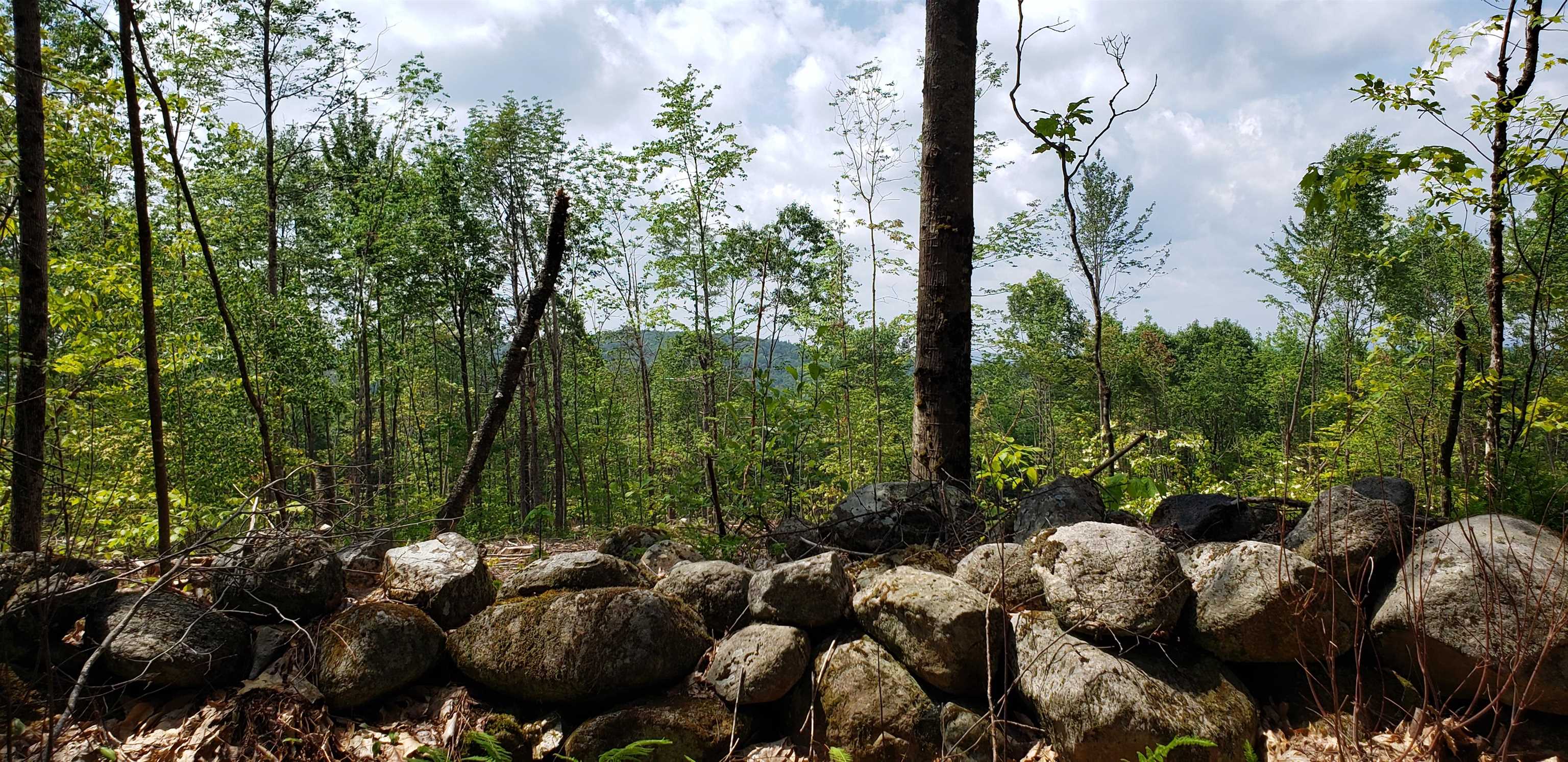 367 Height of Land Road