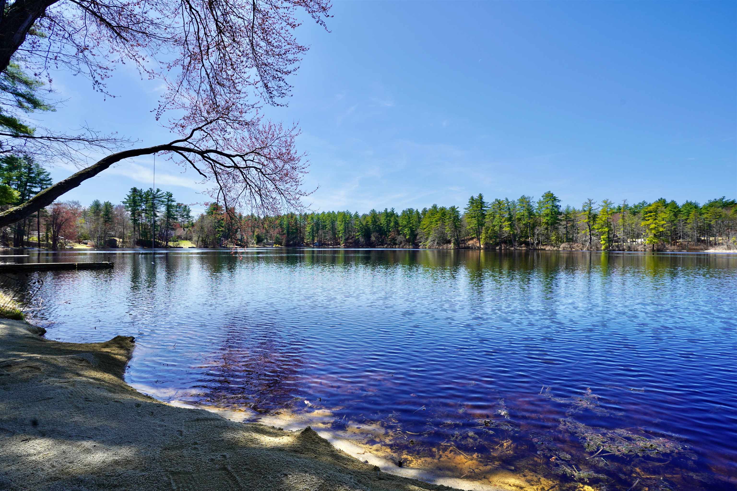 65 Sebbins Pond Drive