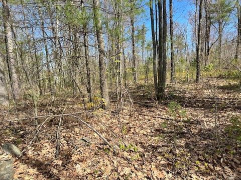 7 Quimby Road 40-D Bow NH 03304