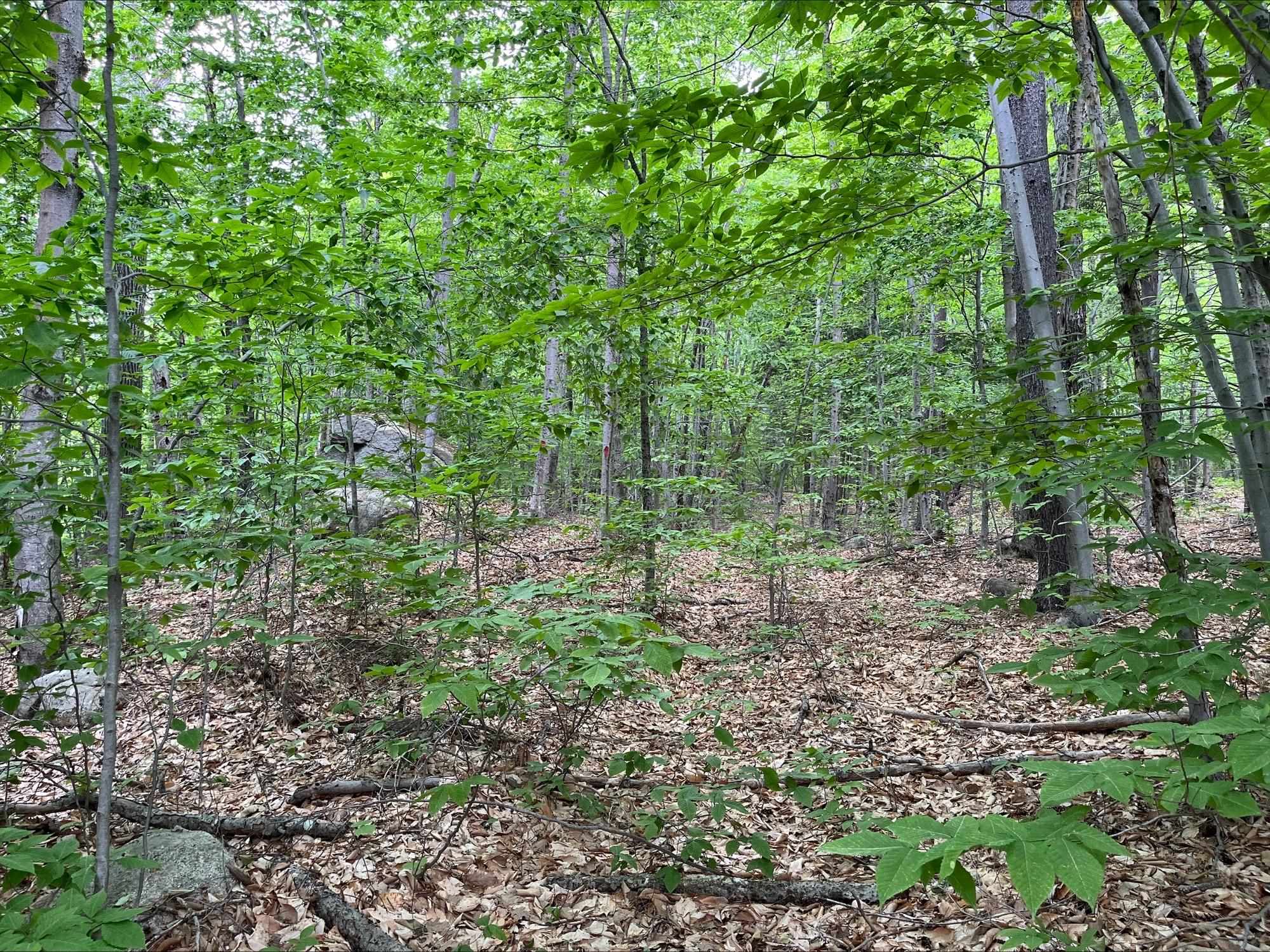 7 Beechwoods At Intervale Drive