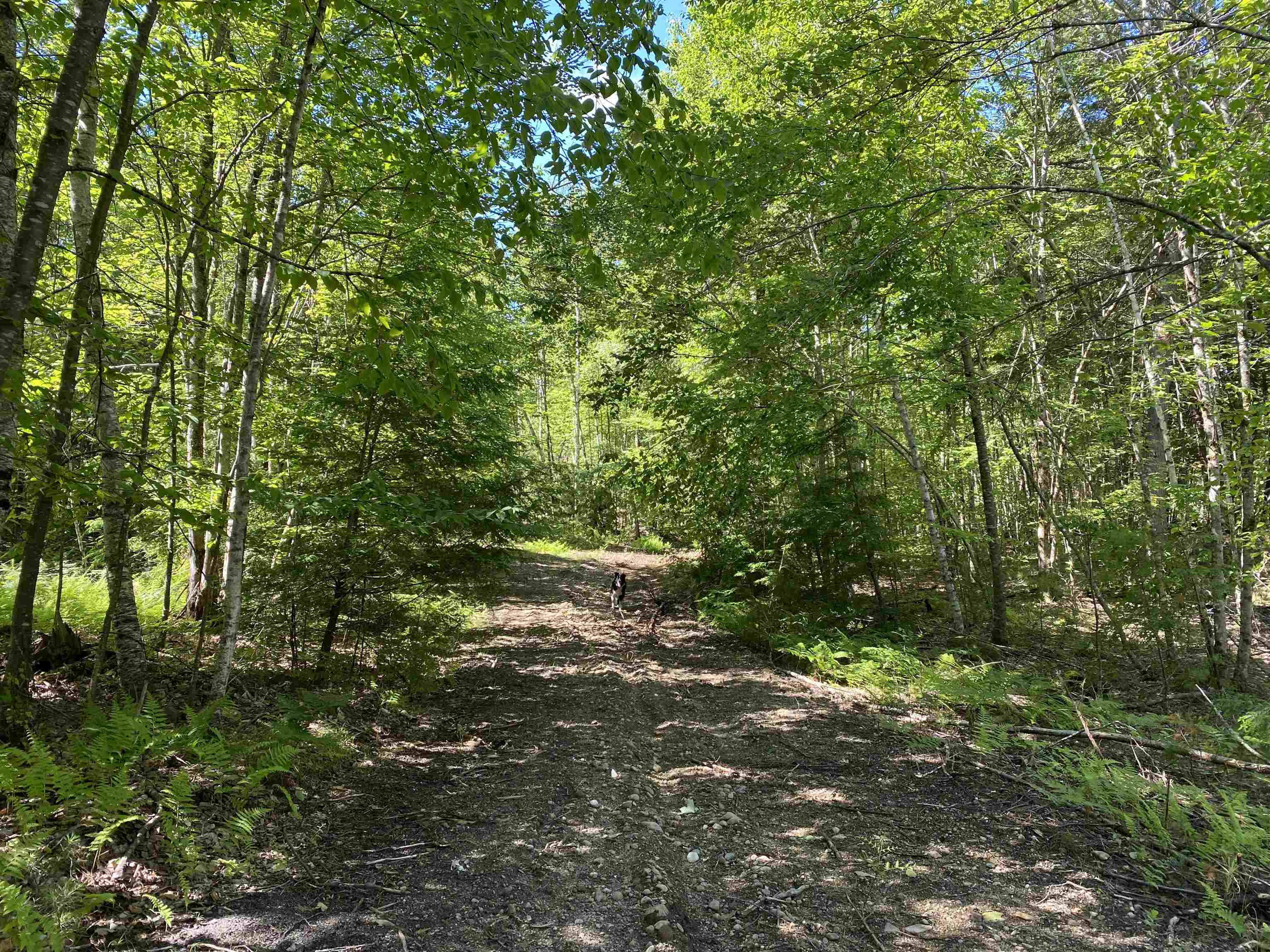Lot 16-4 Catamount Road