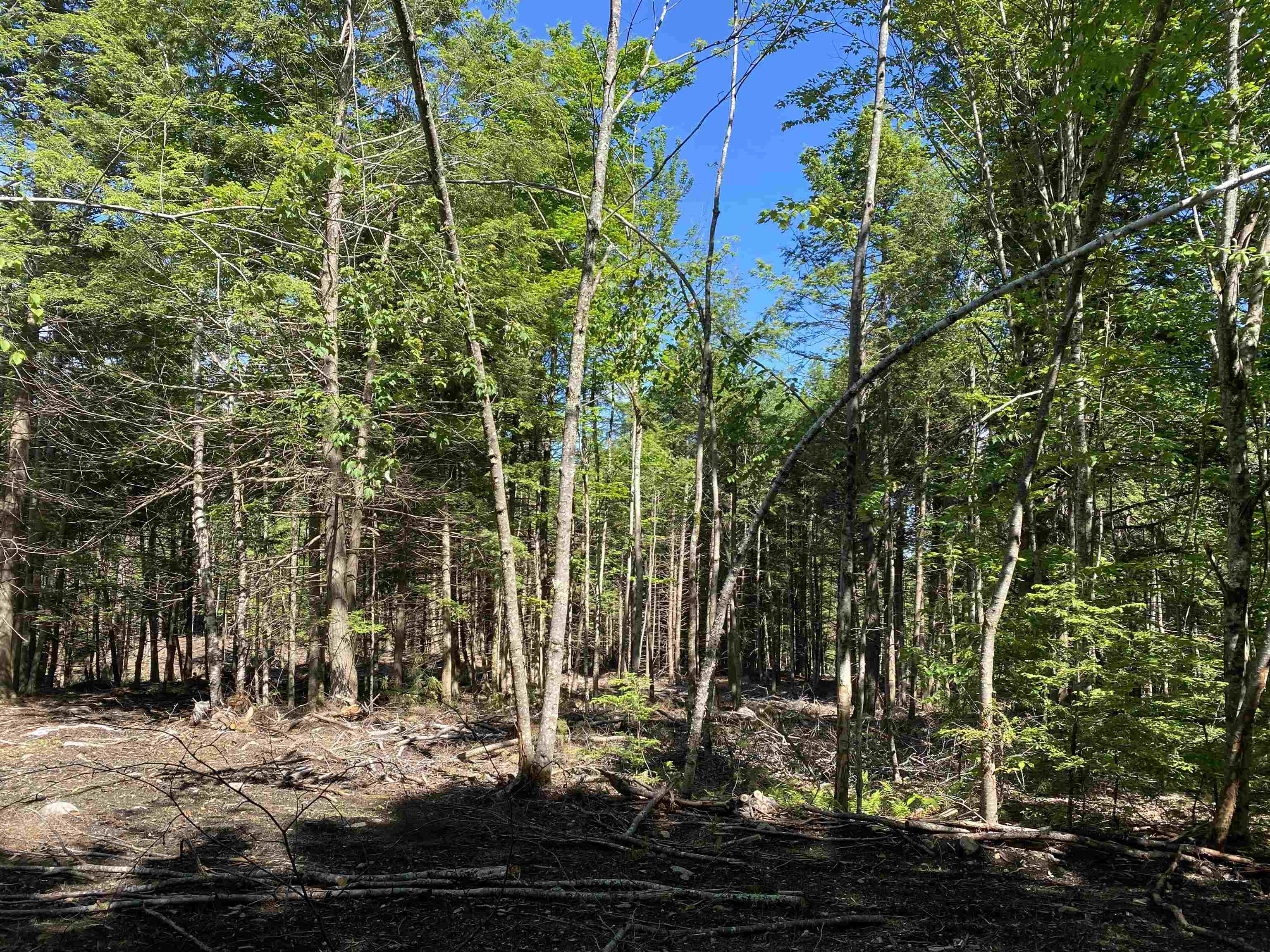 Lot 16-4 Catamount Road