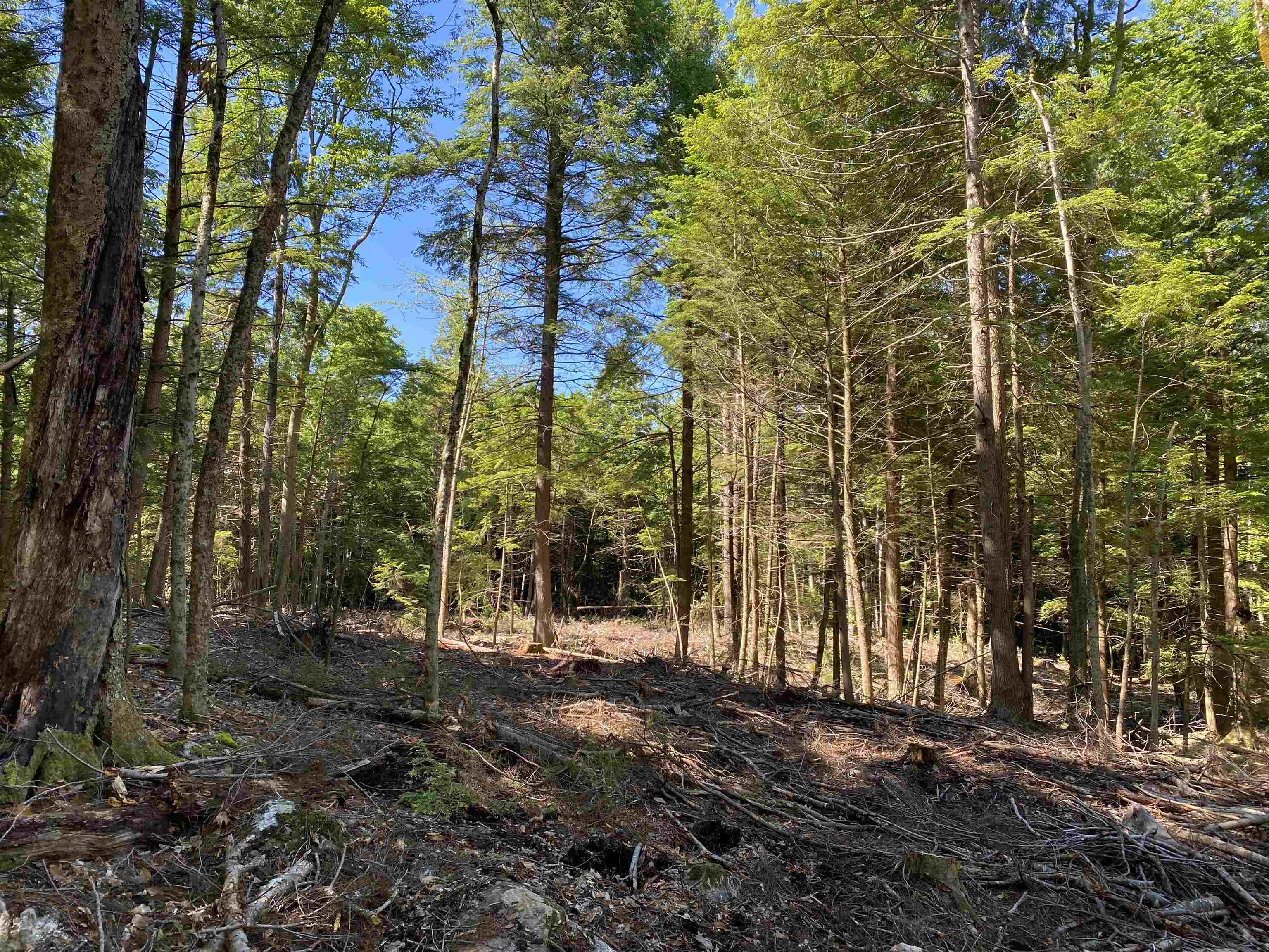 Lot 16-4 Catamount Road