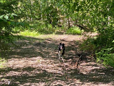 Lot 16-4 Catamount Road Pittsfield NH 03263