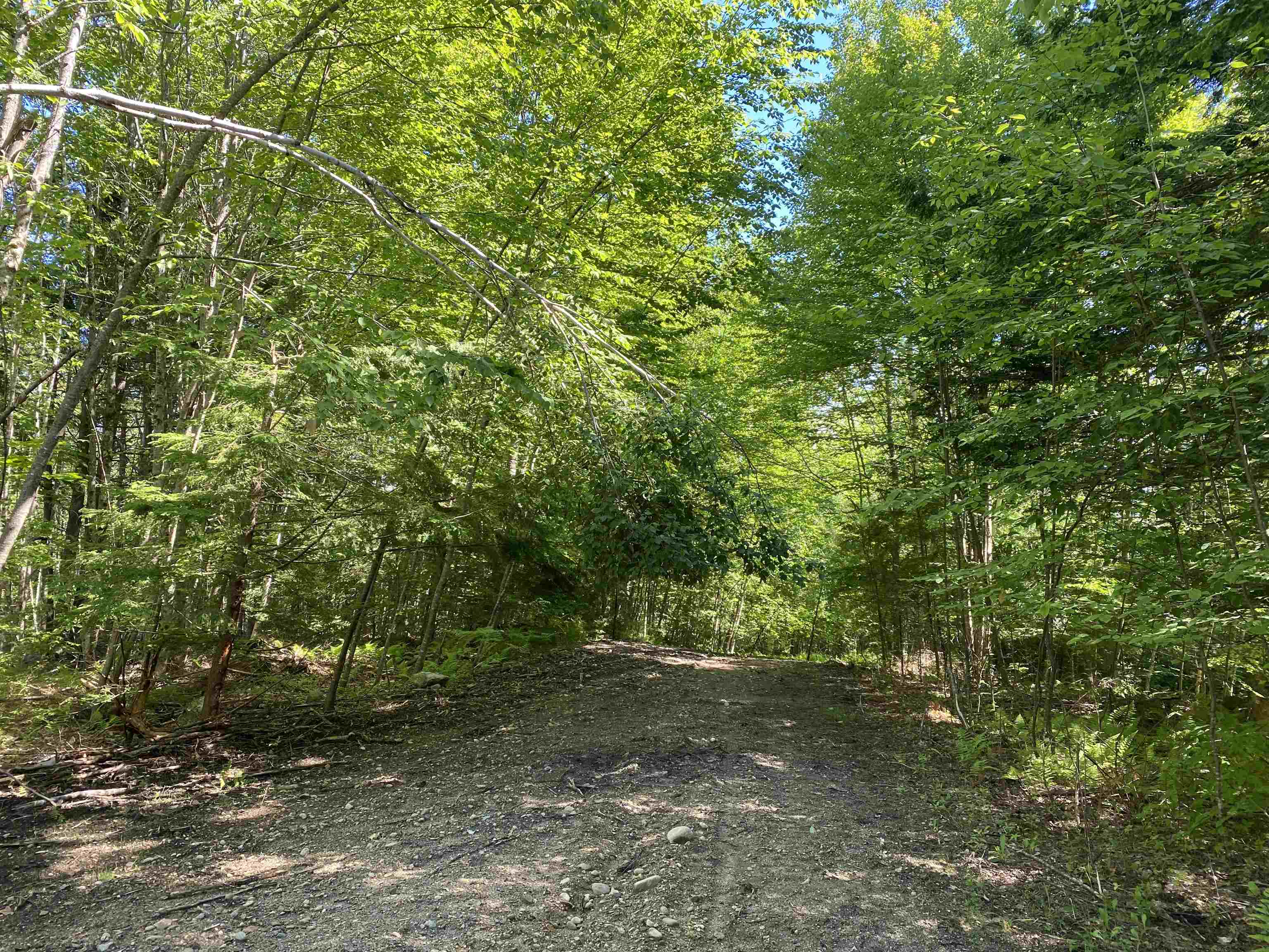 Lot 16-4 Catamount Road