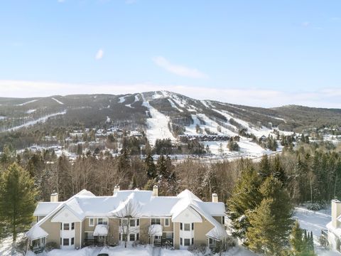 39D Dover Springs Lane Dover VT 04356