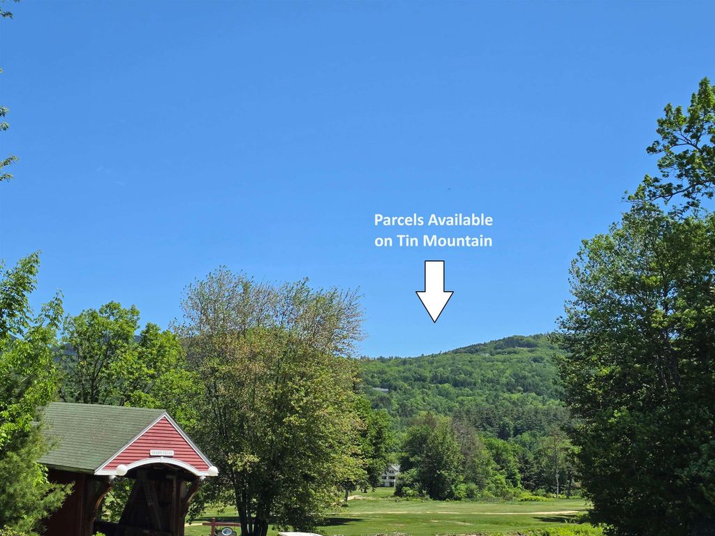 Photo of 00 Tin Mine Road #V08-25-03, Jackson, NH 03846 (MLS # 4982988)