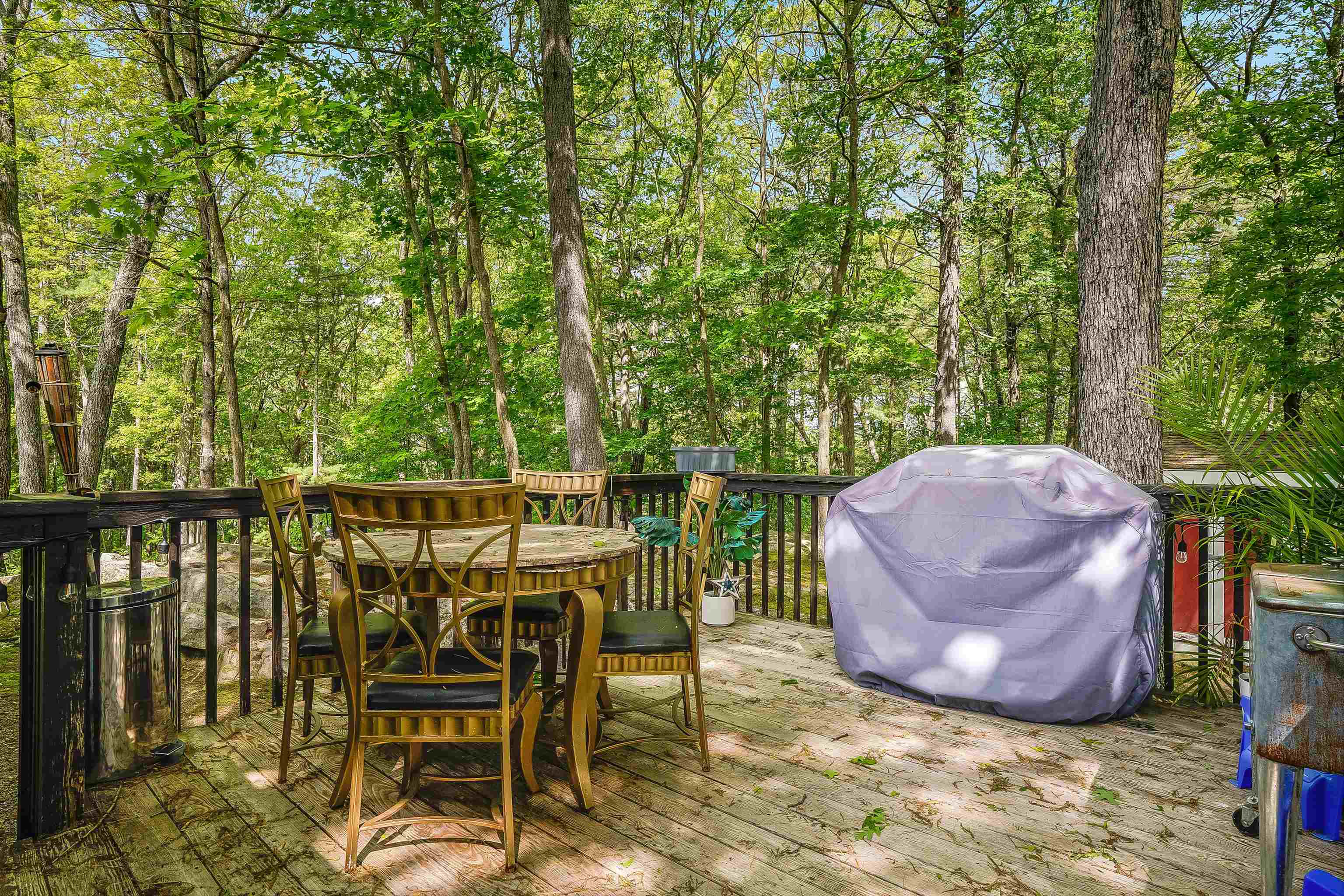33 Carlene Drive