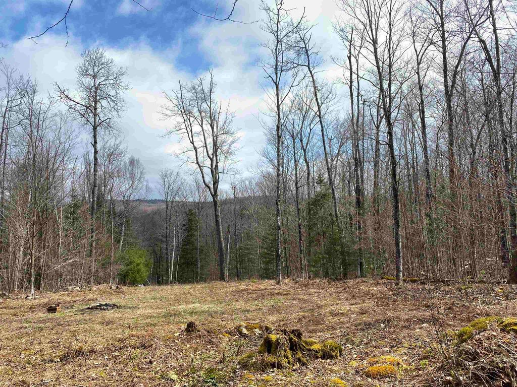 Photo of 00 Miller Pond Road, Grantham, NH 03753 (MLS # 5077932)