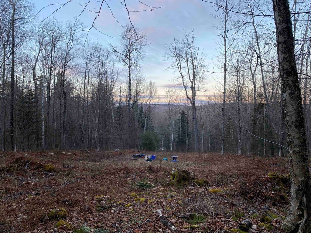 Photo of 00 Miller Pond Road, Grantham, NH 03753 (MLS # 5077932)