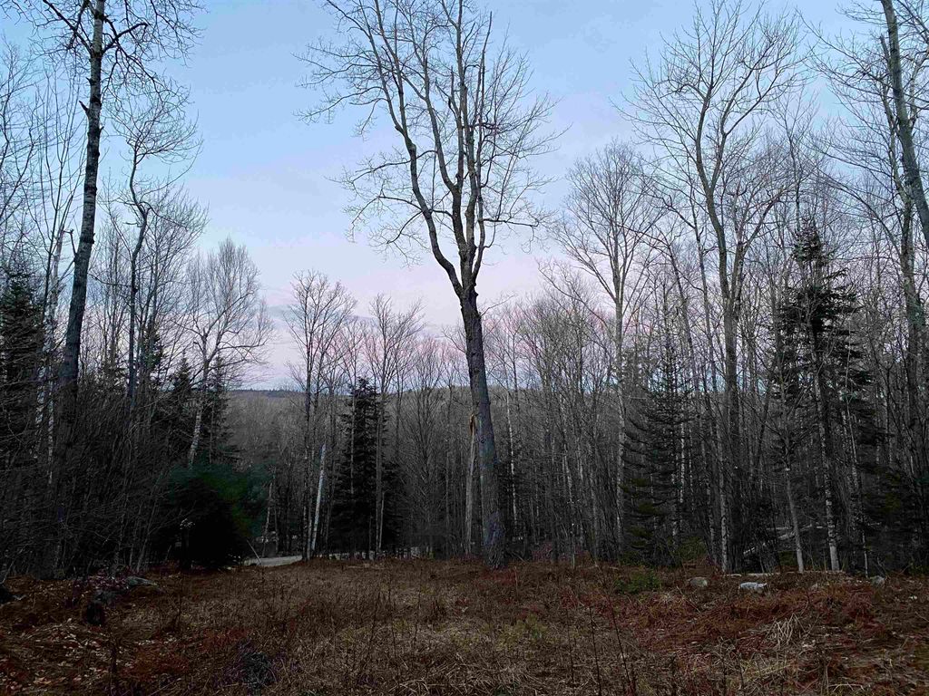Photo of 00 Miller Pond Road, Grantham, NH 03753 (MLS # 5077932)