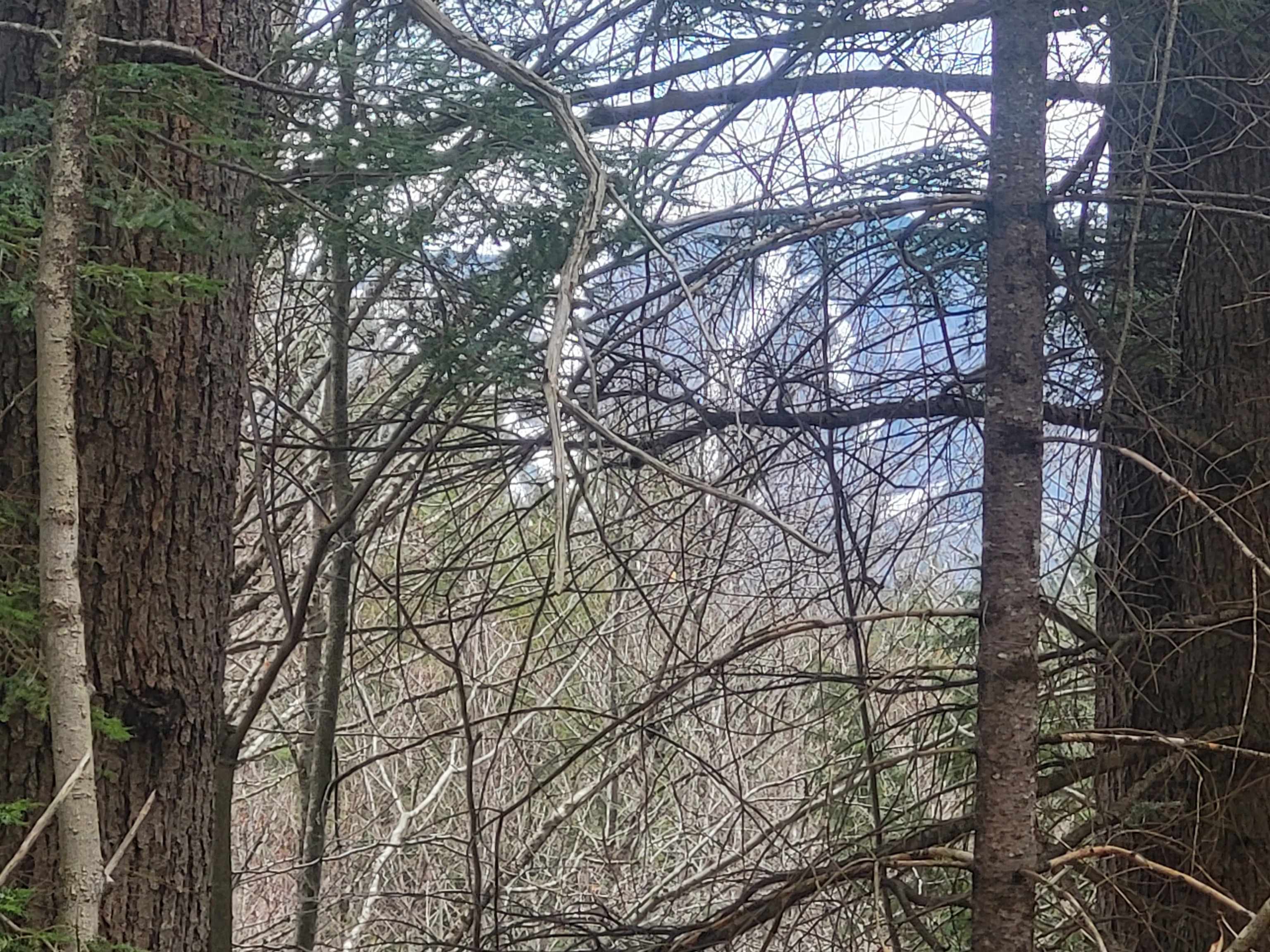 410-089-001 Eastern District Road