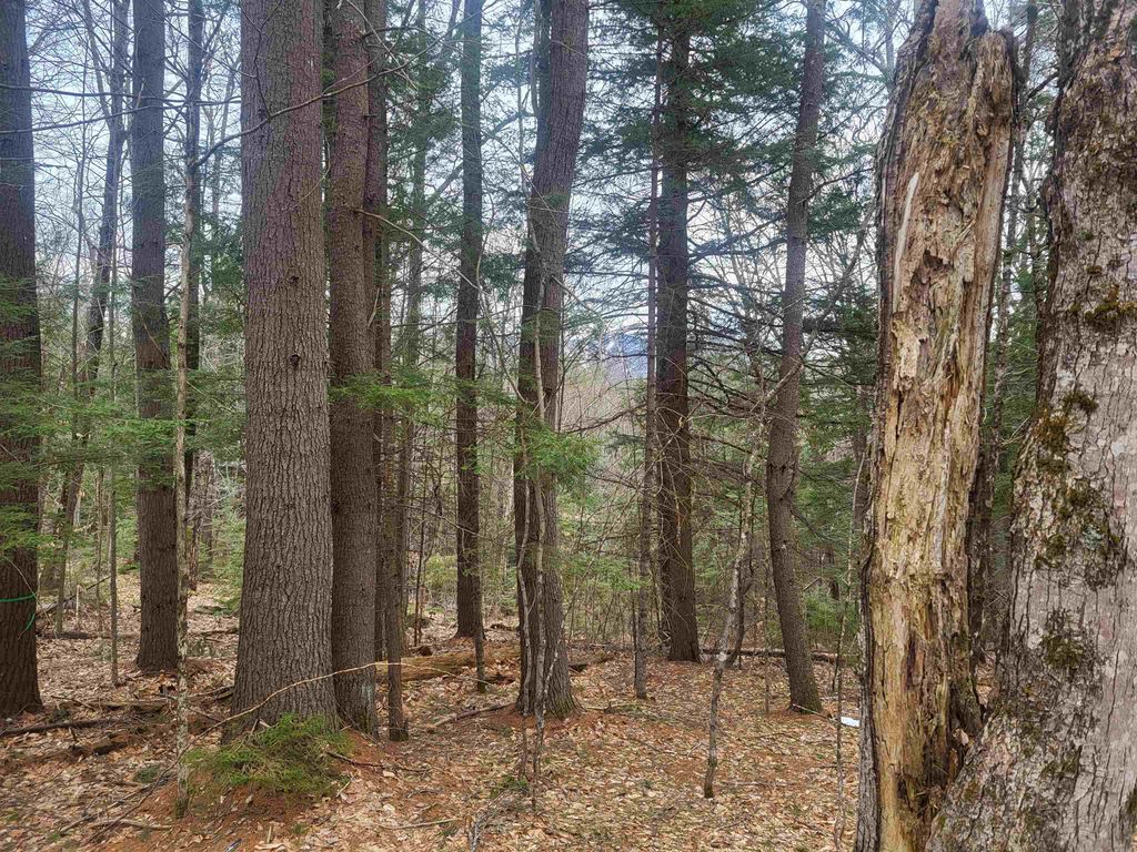 Photo of 410089001 Eastern District Road, Danbury, NH 03230 (MLS # 5081563)