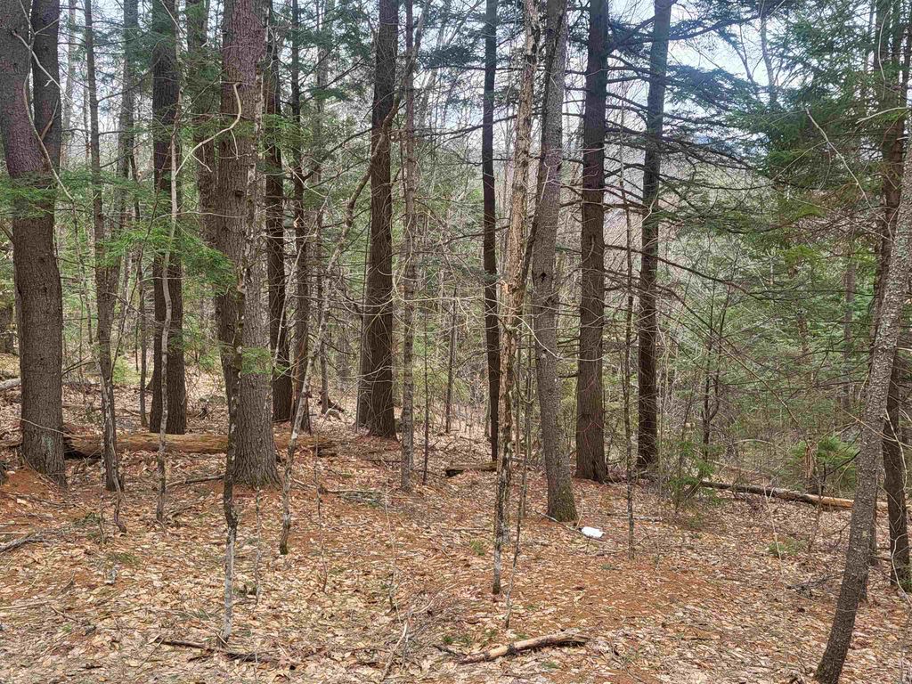 Photo of 410089001 Eastern District Road, Danbury, NH 03230 (MLS # 5081563)