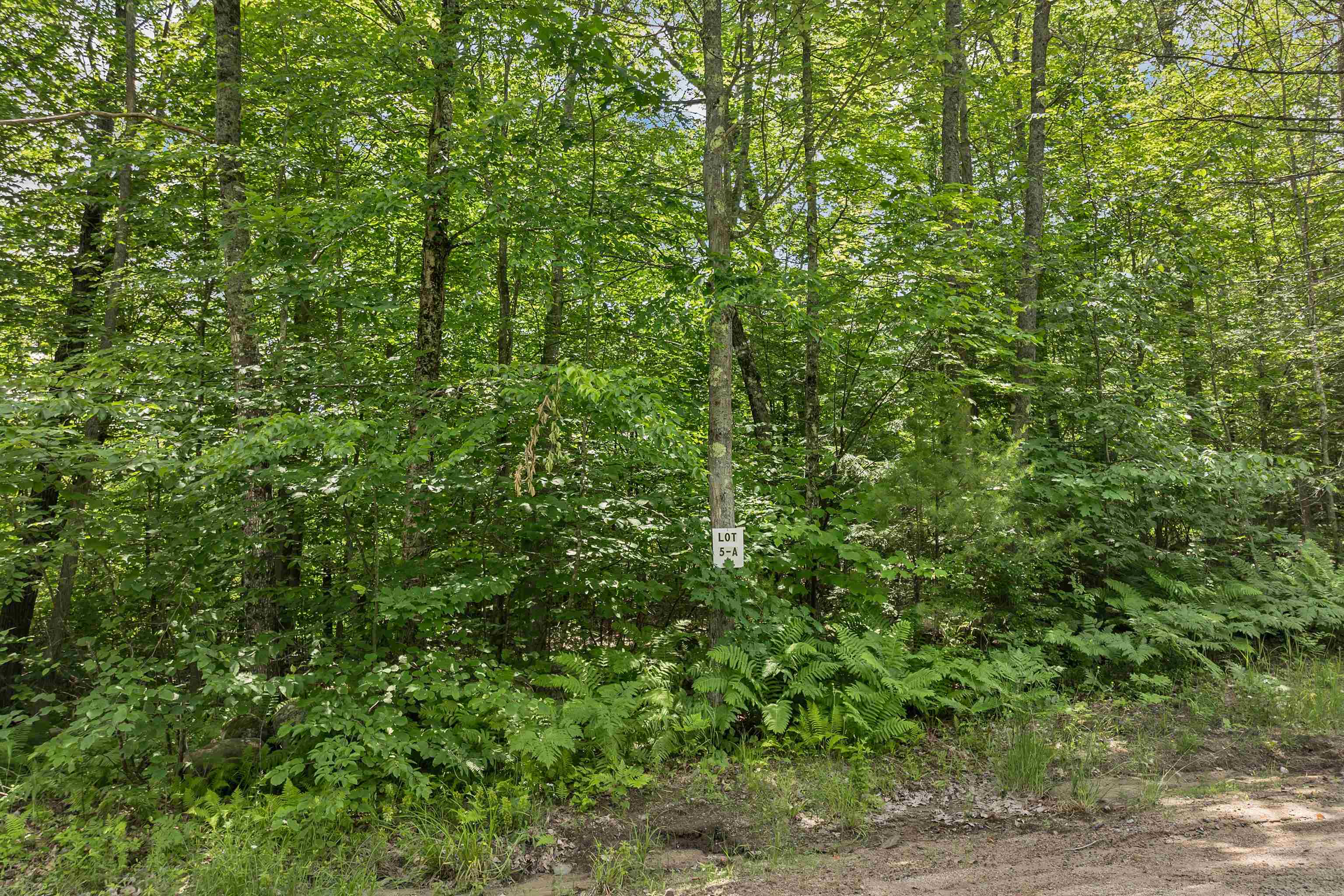 005A Phineas Graves Road 005A
