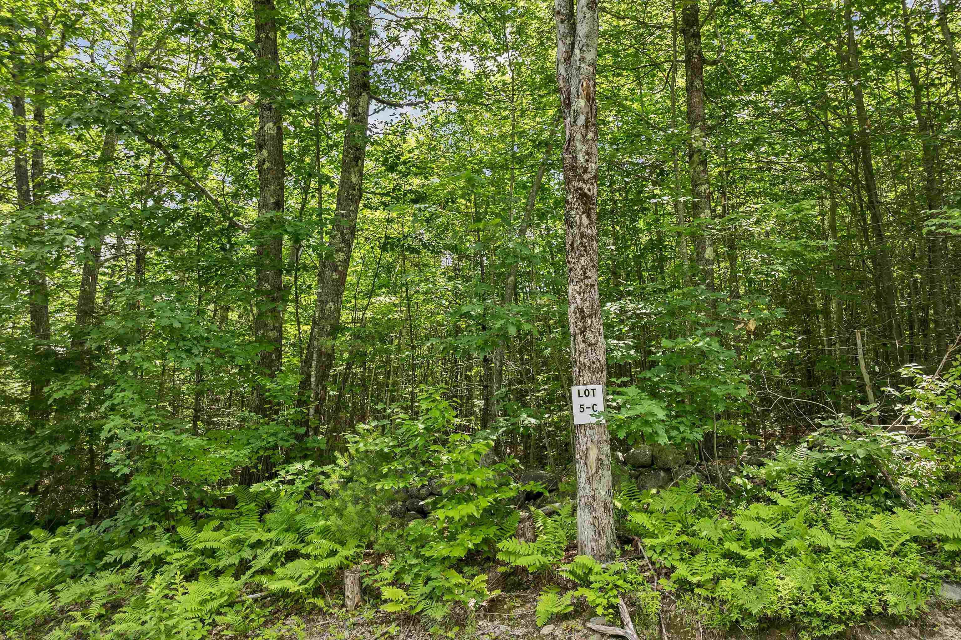 005A Phineas Graves Road 005A