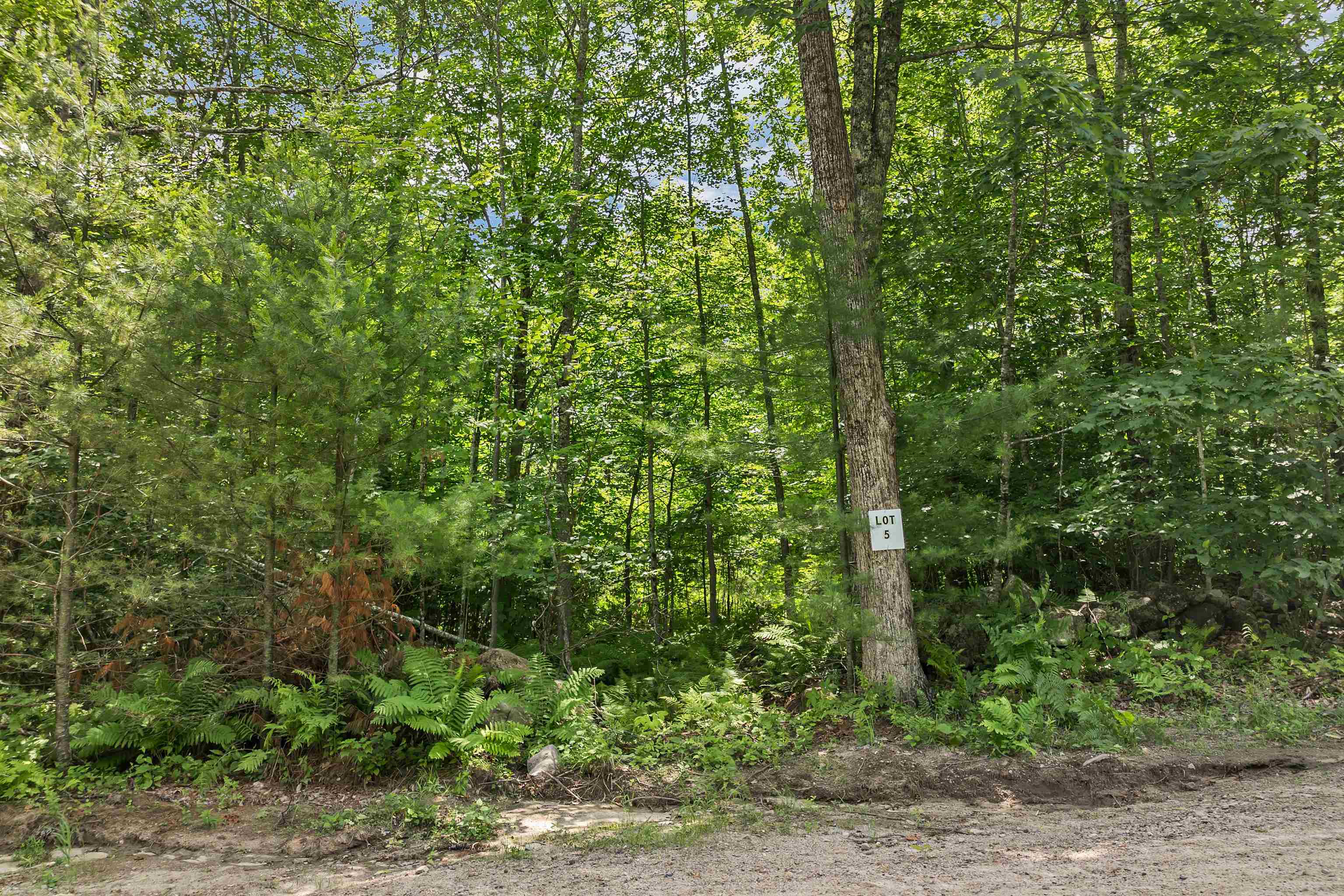 005A Phineas Graves Road 005A