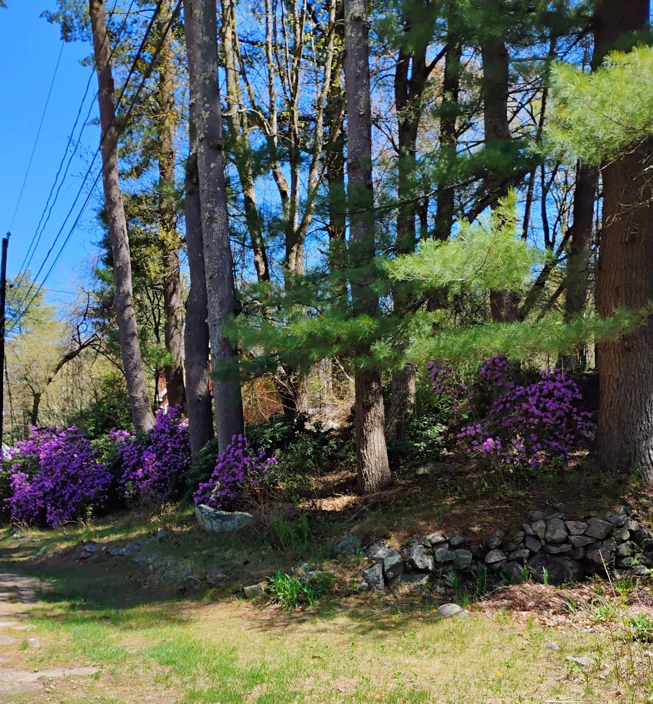 Bedford, New Hampshire 03110, United States, 3 Bedrooms Bedrooms, ,3 BathroomsBathrooms,Residential,Active,220686