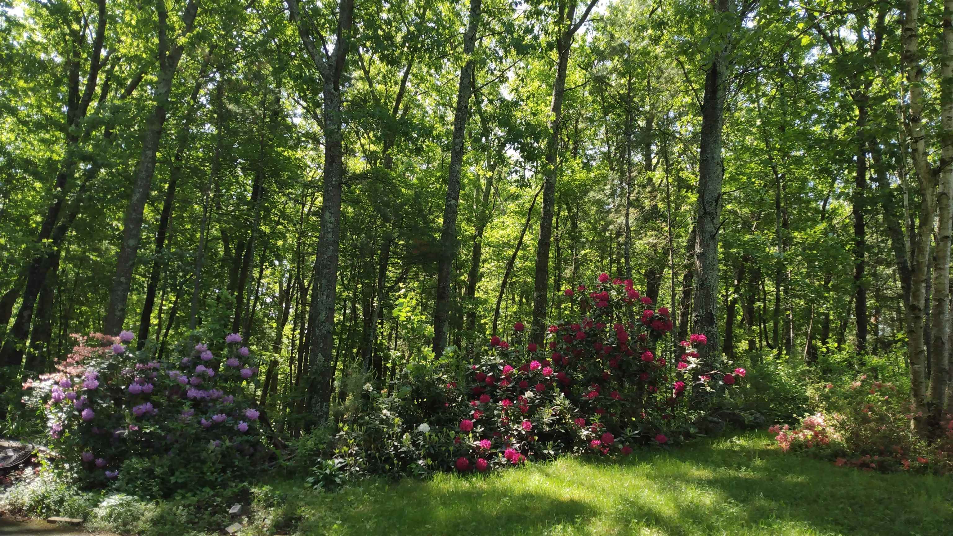 Bedford, New Hampshire 03110, United States, 3 Bedrooms Bedrooms, ,3 BathroomsBathrooms,Residential,Active,220686