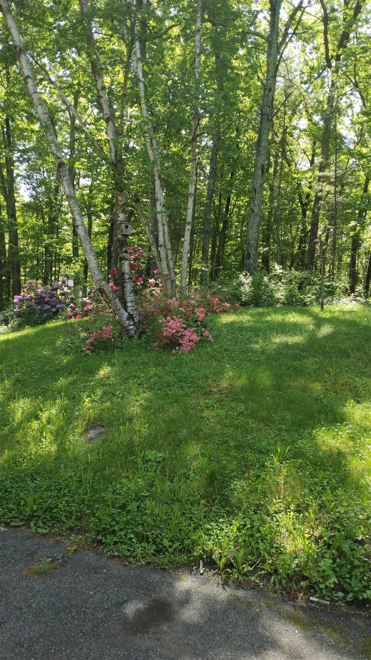 Bedford, New Hampshire 03110, United States, 3 Bedrooms Bedrooms, ,3 BathroomsBathrooms,Residential,Active,220686