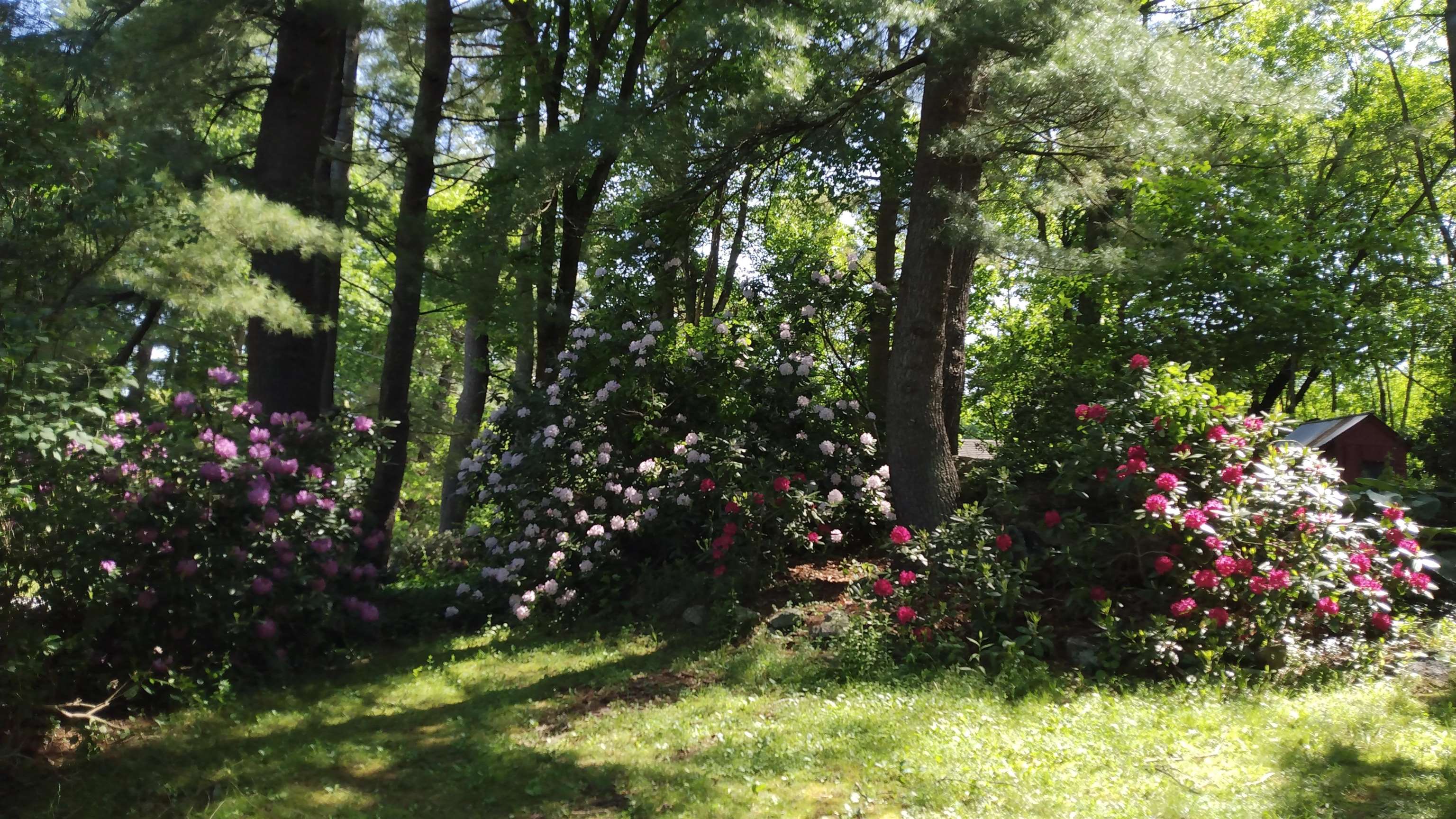 Bedford, New Hampshire 03110, United States, 3 Bedrooms Bedrooms, ,3 BathroomsBathrooms,Residential,Active,220686