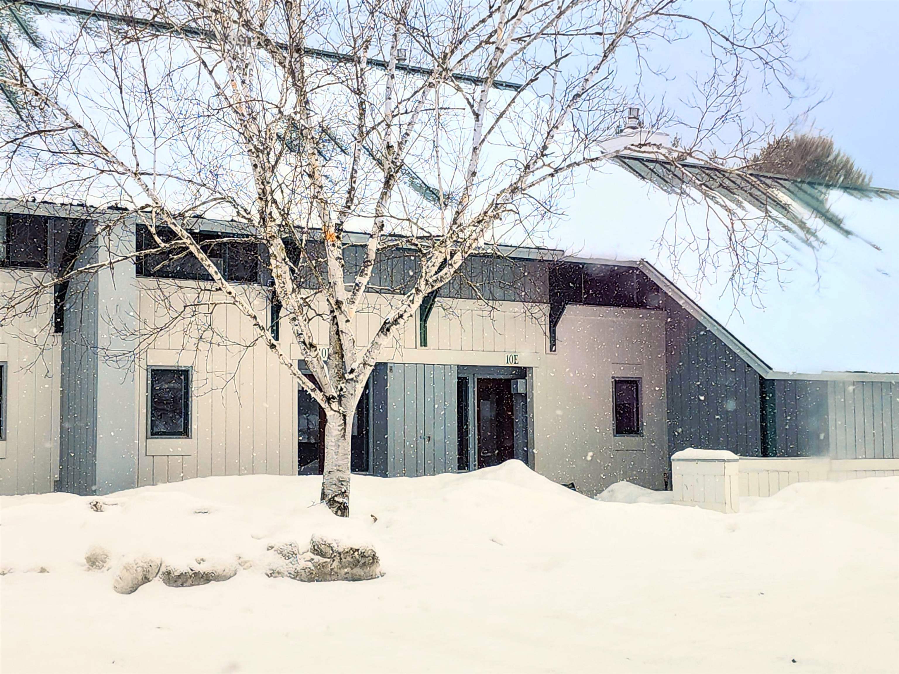 261 Village Green Drive 10E