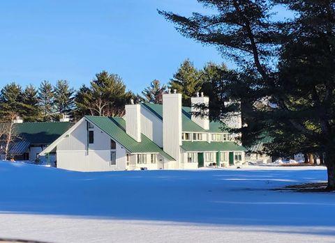 261 Village Green Drive 10E Stowe VT 05672