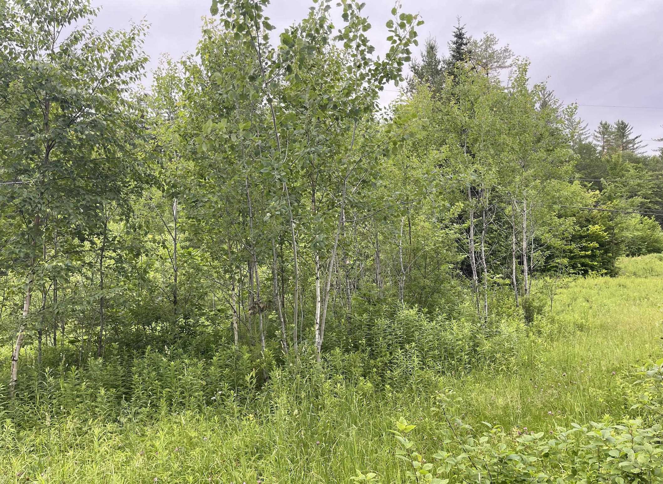 4769 Pikes Falls Road